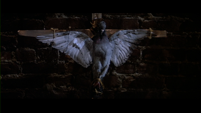 Screengrab from Prince of Darkness #5