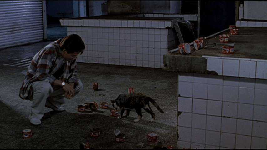 Screengrab from The Hole showing The Main Upstairs feeding a cat in a room littered with empty cat food tins