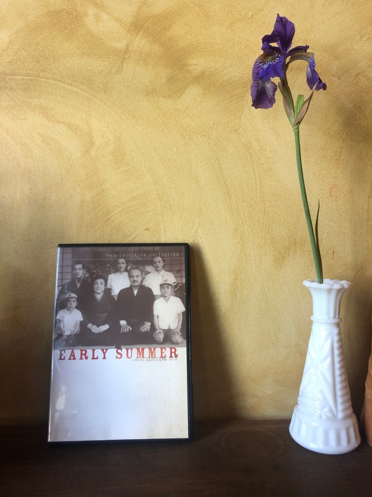 Picture of Early Summer DVD case