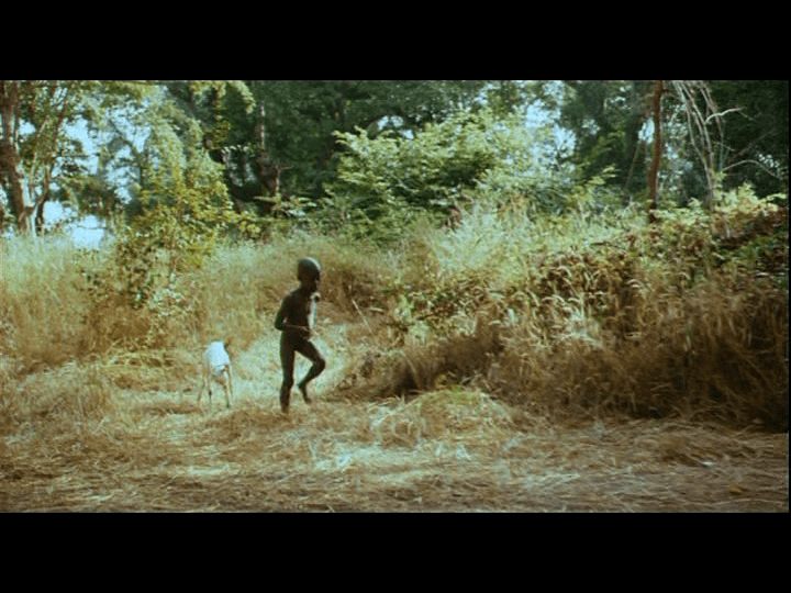 Screengrab from Yeelen showing Nianankoro's son leading a goat by a roap.