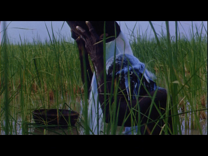 Screengrab from Yeelen showing Nianankoro's mother pouring another bowl of milk over her head.