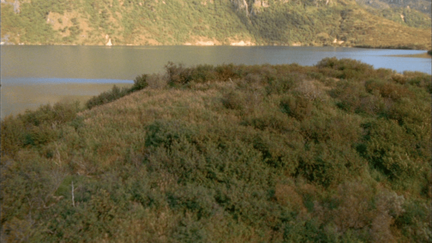 Aerial shot of the Grizzly Maze