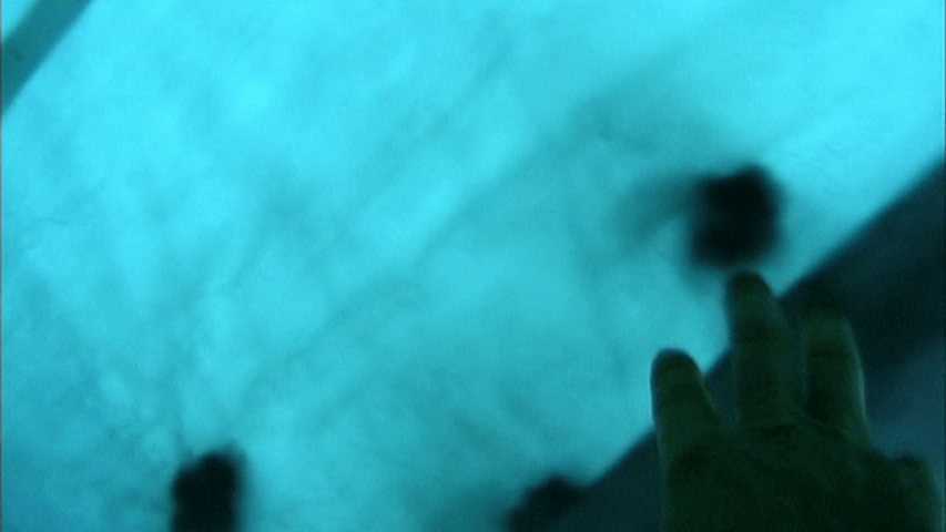 Shot of a blue tent with a black splotch that a hand is reaching toward