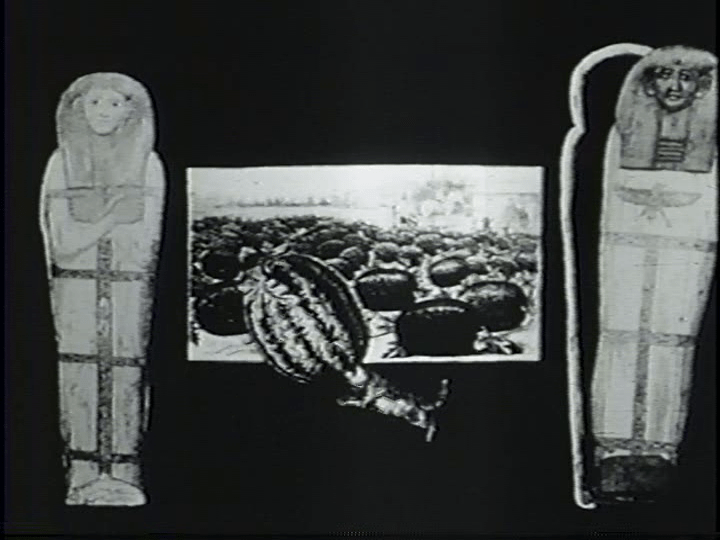 Dog stealing a watermelon