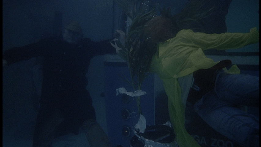 David has a vision of a flood, part two