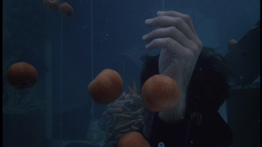 David has a vision of a flood, part three