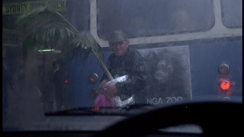 Medium shot of a bus poster for the Taronga Zoo