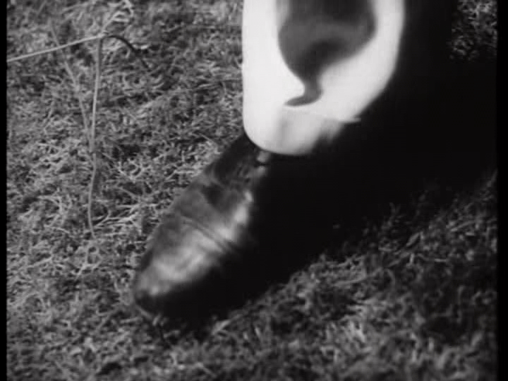 A shoe steps on the bee