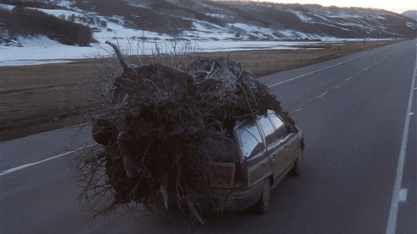 Tree gag, part three