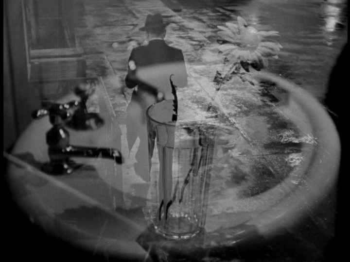 Dissolve from a shot of Chris to a shot of the flower he will paint