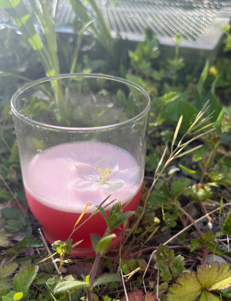 Rosemary & Rhubarb in a rocks glass