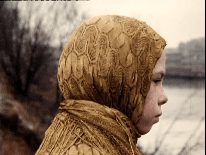 Monkey appearing to walk