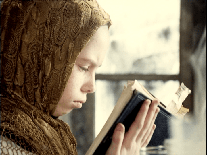 Medium shot of Monkey reading a book