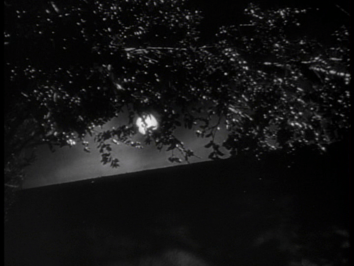 Bending branch, part one