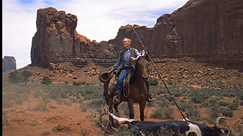 Brad discovers the body of his father's prize bull