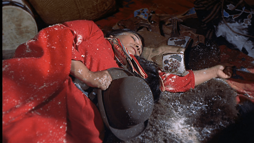 The dead body of Wild Goose Flying in the Night Sky