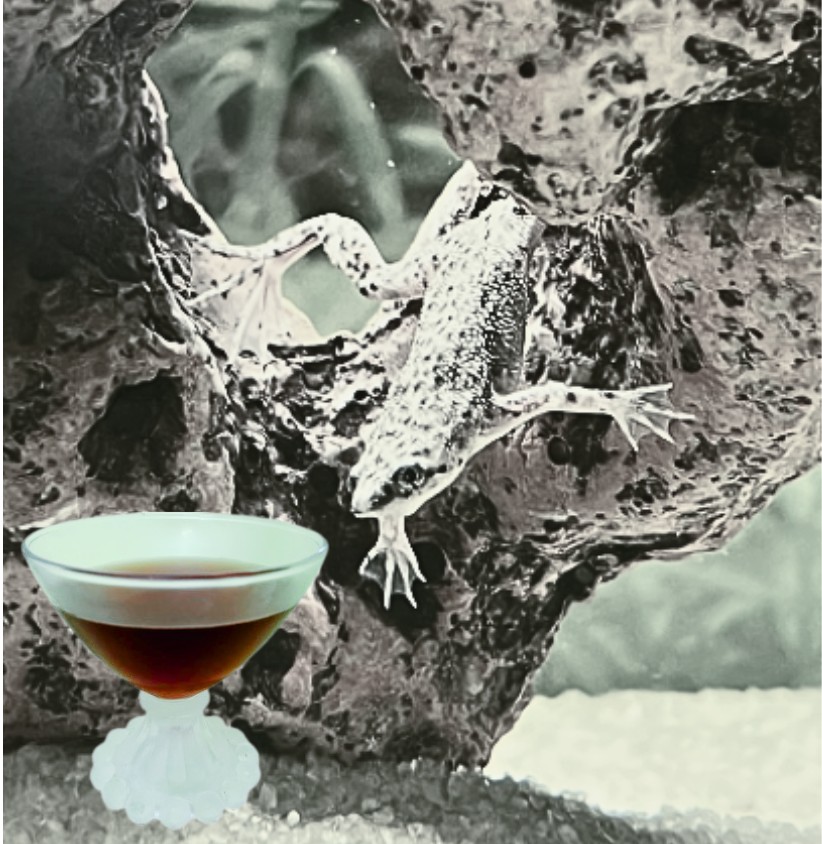 Don't Give Up the Ship in a cocktail glass in front of an enlarged picture of a frog
