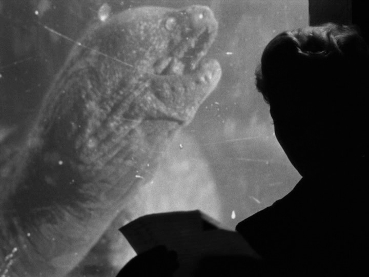 Elsa stands in front of an enlarged shot of a moray eel