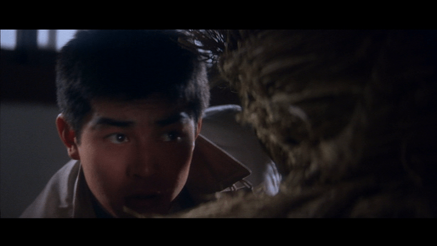 Close-up of Tetsu crouching behind a bale of hay