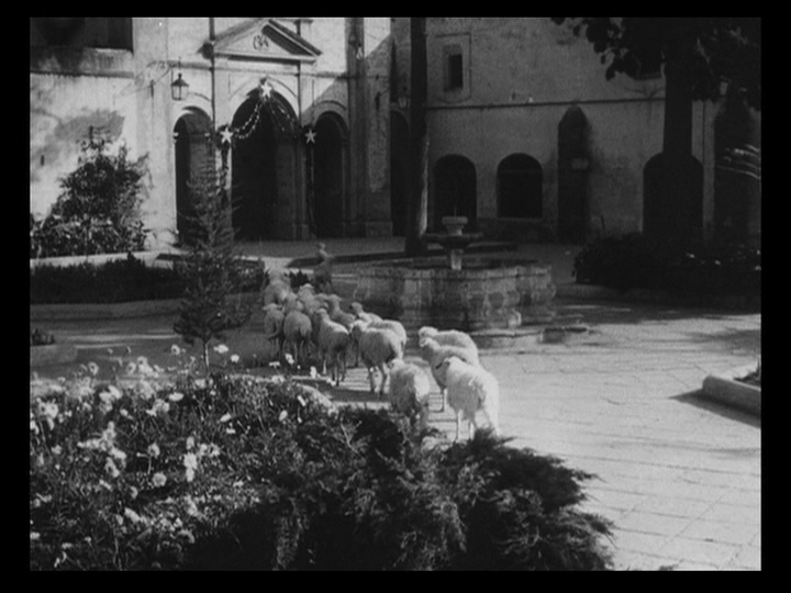 Long shot of a flock of sheep making its way to the doors of the cathedral