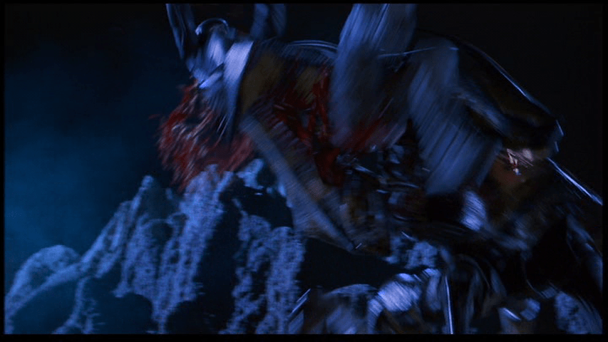 The insect cuts the reporter in half