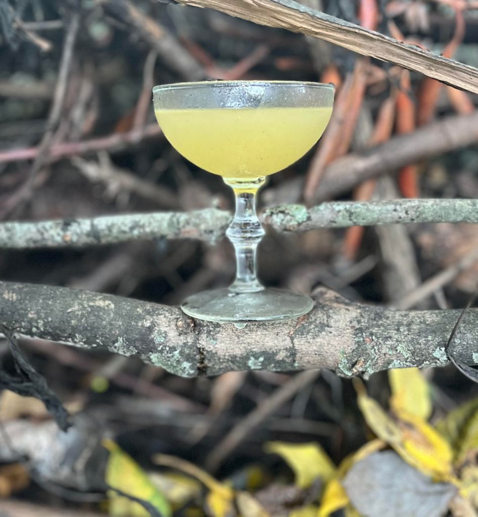 Witch's Kiss in a coupe glass