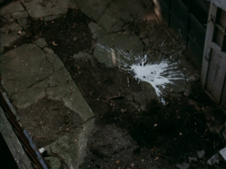 Overhead shot of the frothy remains of the bottle of beer, which has shattered on the courtyard below