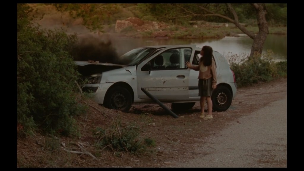 Long shot of Moon Guo Barker's Moon standing next to the white car she just crashed into a tree