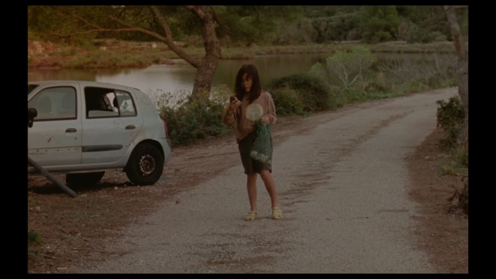 Continuation of the previous image: Moon talks to the turtle she has just picked up from the middle of the road next to her car in long shot
